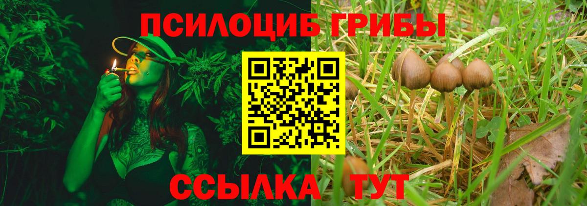 Псилоцибиновые грибы MAGIC MUSHROOMS Зеленогорск