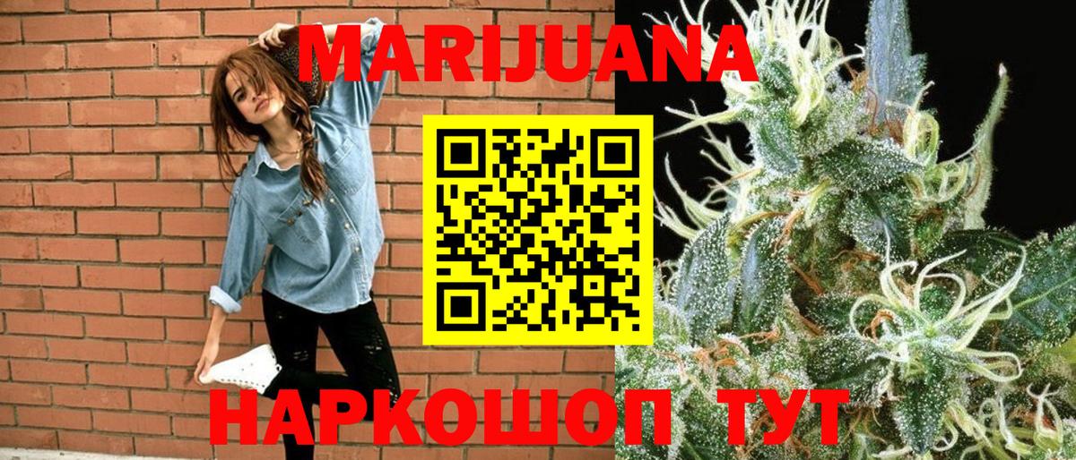 Конопля сатива Зеленогорск